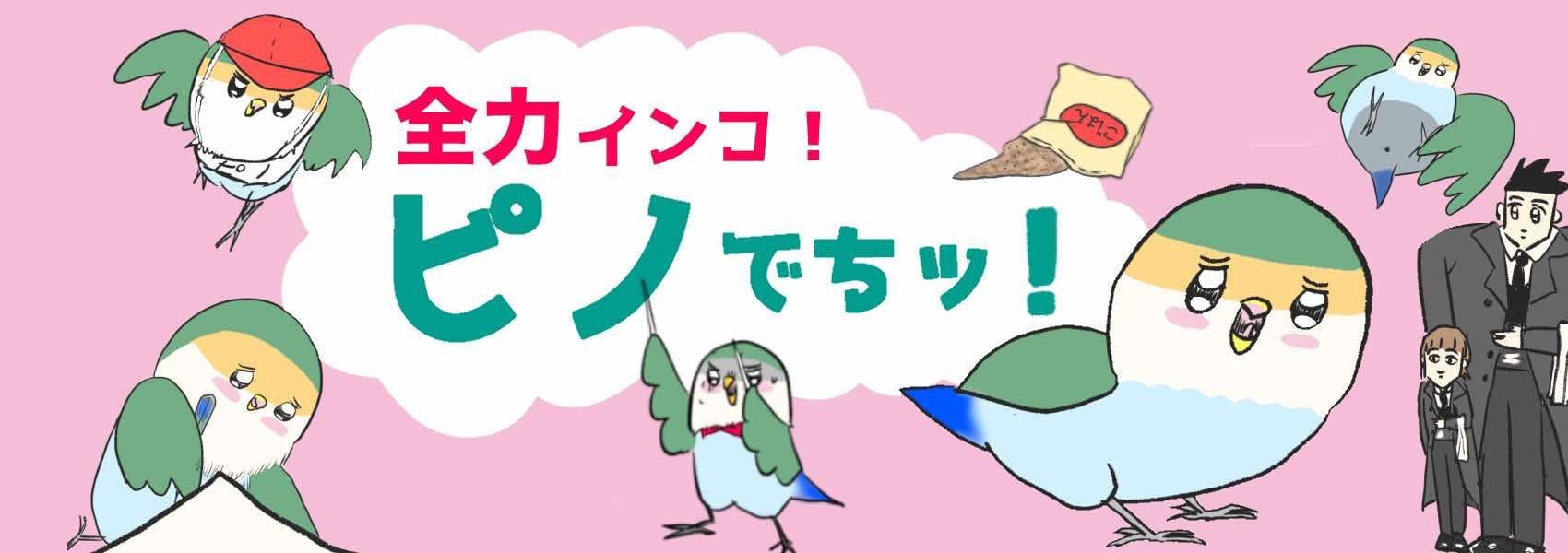 全力インコ！ピノでちッ！